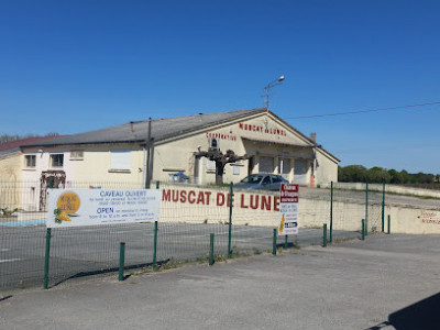 CAVE COOPERATIVE DU MUSCAT DE LUNEL photo