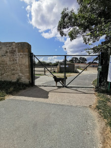 Centre de Loisirs Equestres de l' Agglomération Rochelaise CLEAR photo