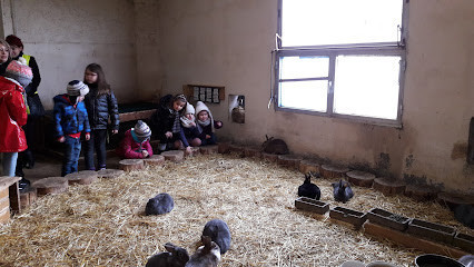 Centre de Vacances La Ferme de Pégase photo