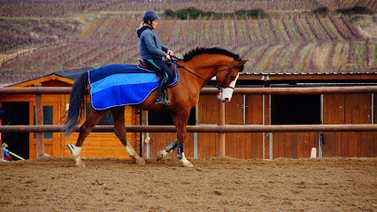 Centre Equestre Cabrerolles photo