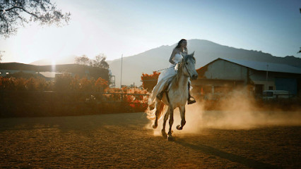 Centre Équestre Canale di Melo - Centru Equestru Canale di Melo photo