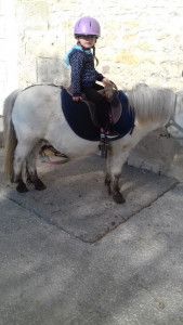 Centre Equestre De Bellevue photo