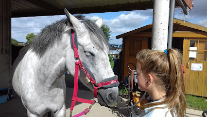 Centre Equestre de Fontay photo