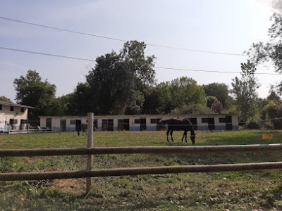 Centre Equestre de Gironville sur Essonne photo