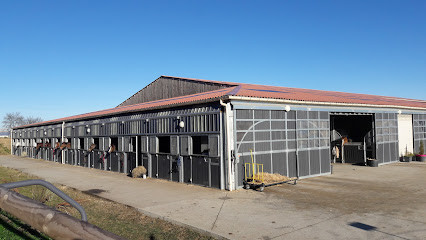 Centre Equestre De La Roche photo
