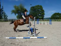 Centre Equestre de l'Ourail photo