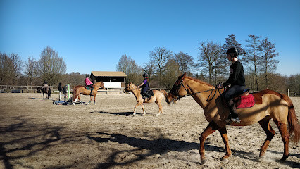 Centre Equestre de Luxeuil EARL photo