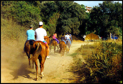 Centre équestre de Porticcio - Centru equestru di Purtichju photo