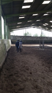 Centre Equestre de Saint Yzan de Soudiac photo