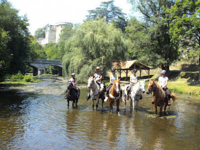 Centre Equestre de West Wood Ranch photo