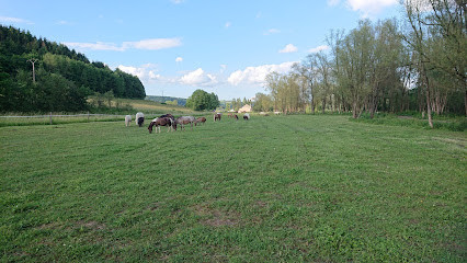 Centre équestre du domaine de la forge photo