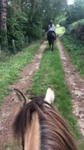 Centre Equestre Du Mai photo