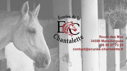 Centre Equestre, écuries de La Chantalette photo