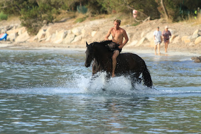 Centre équestre et poney club A STAFFA - Centru equestru è poney club A STAFFA photo