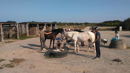 Centre equestre La Petite Ecurie photo