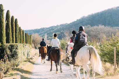 CENTRE EQUESTRE LES CRINS DE GAIA photo