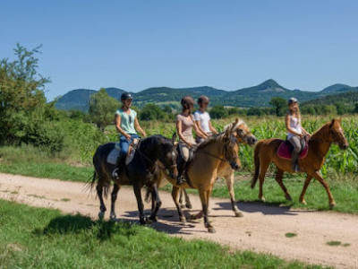 Centre equestre l'Etoile photo