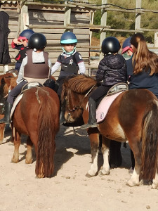 Centre Equestre Pas des Lanciers photo