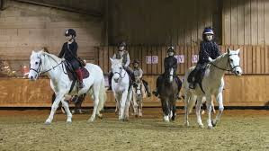 centre equestre poney club les petites ecuries photo