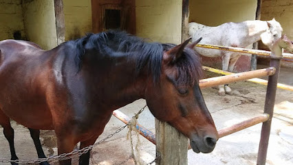 Centre équestre Ranch El Colorado photo