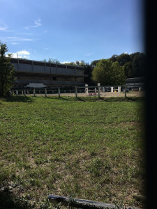 Centre Equestre Régional du Waldeck photo