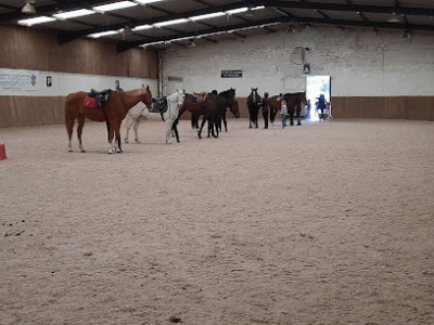 Cercle Hippique du Bois d'Achelles photo