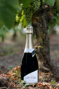 Champagne-Gondé-Rousseaux.fr photo