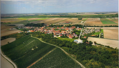 Champagne L'hoste photo
