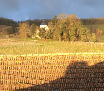 Champagne M Brugnon photo