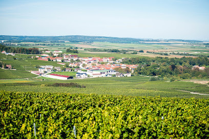 Champagne Marie Gailliot et Filles photo