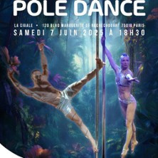 Championnat de France de Pole Dance 2025 - La Cigale, Paris photo