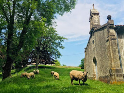 Chapelle de la Brossardière photo