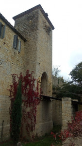 Château à Mas-d'Auvignon photo