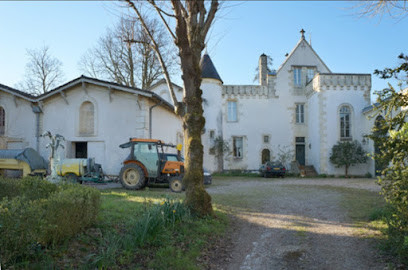 Château Bellevue photo
