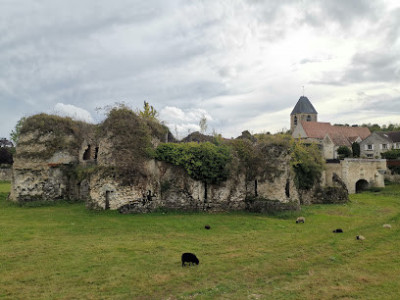 Château de Beynes photo