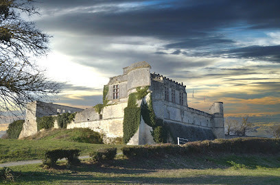 Château de Bouteville photo