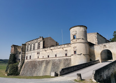 Château de Bouteville. photo