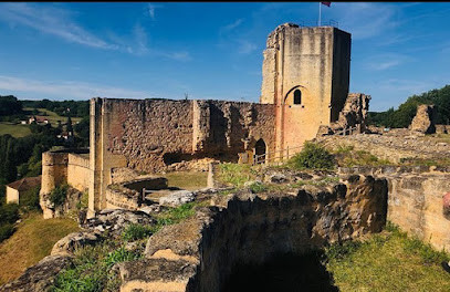 Château de Carlux photo
