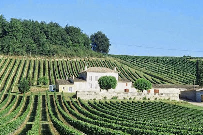 Château de Chainchon - Vignobles Erésué photo