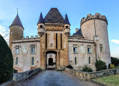 Château de Chaintré photo