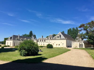 Château de Champigny-sur-Veude photo