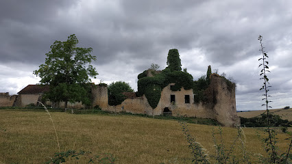 Château de Chandioux photo