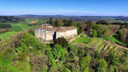 Château de Châtillon-sur-Lison photo