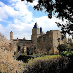 Château de Courcelles le Roi photo