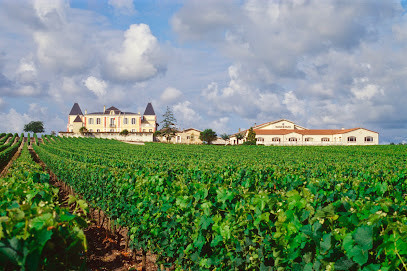 Château de France, vins de Pessac-Léognan photo