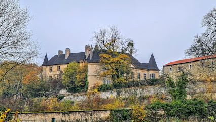 Château de Hombourg-Budange photo