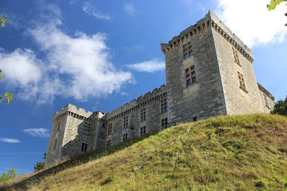 Château de la Coste photo