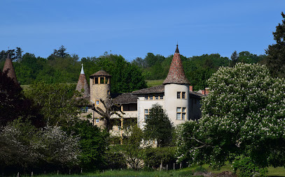 Château de la Fontaine photo