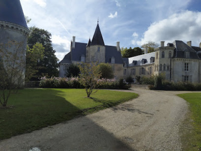 Château de la Pellonnière photo