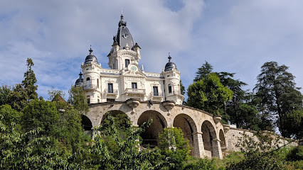 Château de la Roche du Roi photo